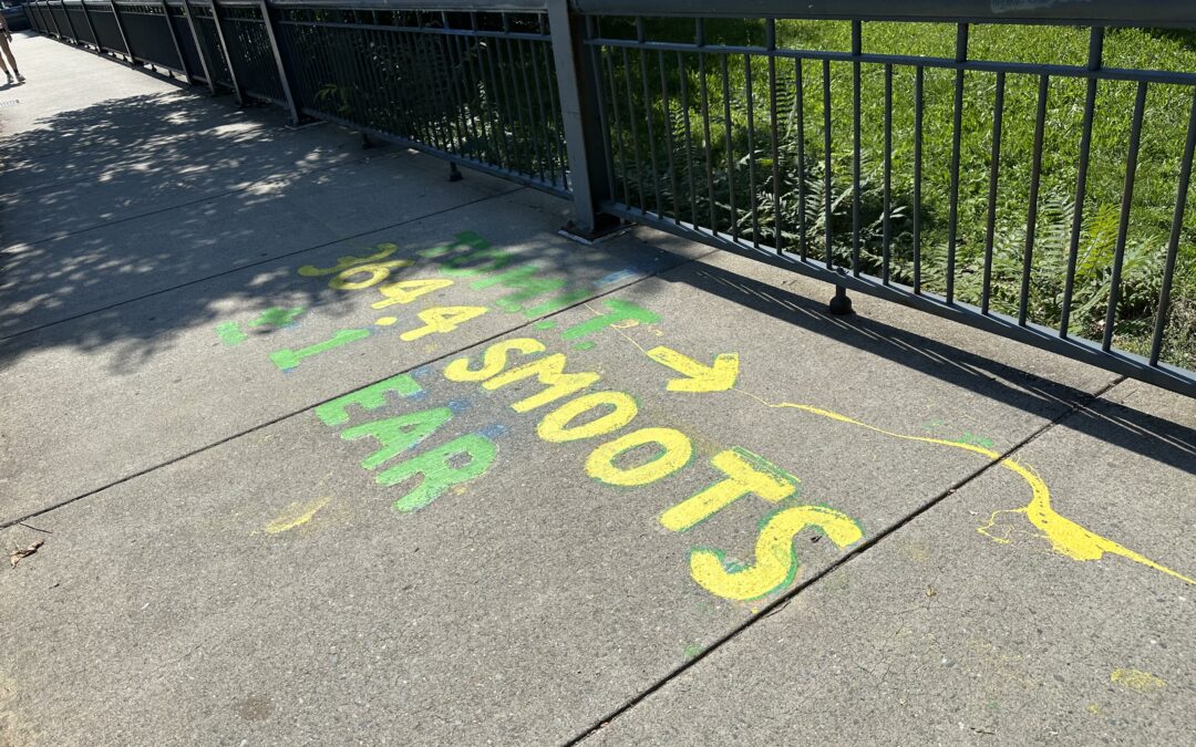 Today I learned what a Smoot was.