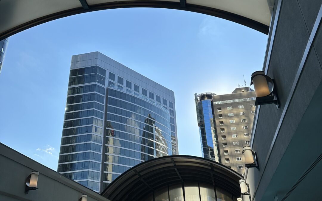 View from the pool